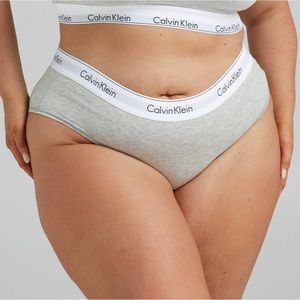 ✨NWT✨ Calvin Klein Modern Cotton Blend Hipster Briefs - Grey Heather - Size 2X